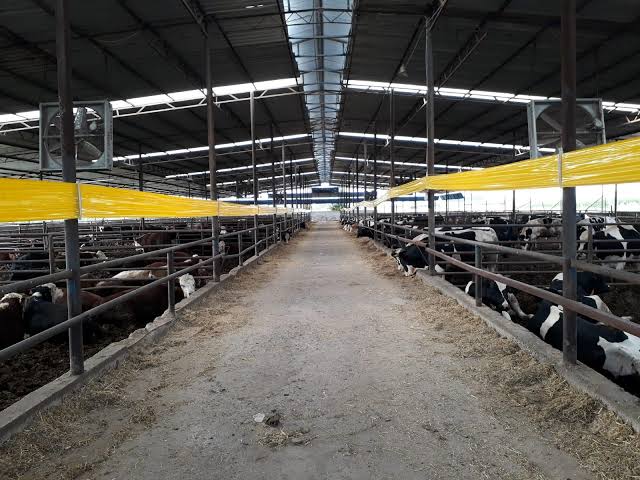 uşak çözüm ilaçlama